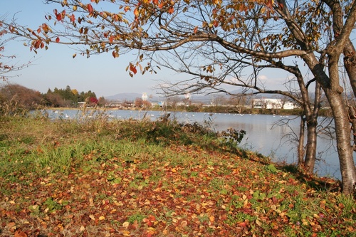 秋の五郎沼